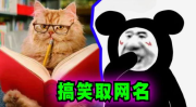 超级搞笑的网名笑死人,盘点那些让人捧腹大笑的搞笑网名