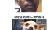 搞笑图片笑得肚子疼,盘点那些让人捧腹大笑的搞笑图片